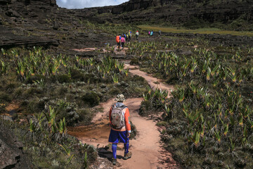 Trekking, camping, aventura, natureza, montanha.