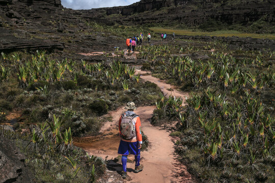 Trekking, camping, aventura, natureza, montanha.