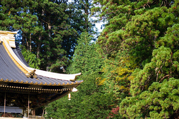 japan  temple near forest wallpaper background
