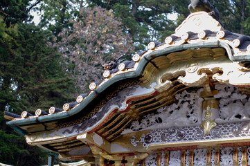 japan  temple near forest wallpaper background