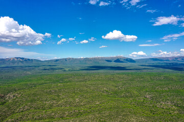 Aerial view of mountains covered with coniferous forests