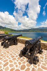 cannon in the fortress pointed out to the bay