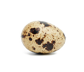 Obraz premium raw round quail egg isolated on a white background, healthy product
