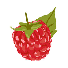 Raspberry Vector Illustration. Red Berry Drawing. Background design for sweets and pastries filled with raspberry, dessert menu, health care products, natural cosmetics. Collection berries with leaves