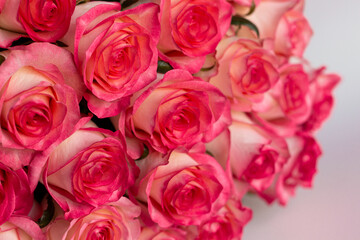bouquet of pink roses, close-up