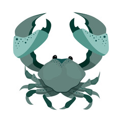 Raw crab illustration