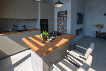 Modern minimalistic dark gray loft style studio apartment interior design. kitchen, sitting area, workplace, shower and bath. bright sun rays inside.