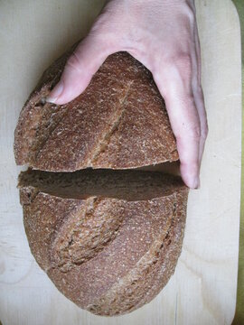 pan de levadura madre, hogaza de forma oval con tres grietas de cocci&oacute;n cortada en dos pedazos separados y cogidos con mano de mujer,  sobre tabla madera.
