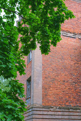 Old red brick building through green maple