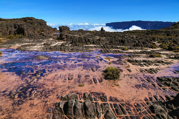 Trekking, camping, aventura, natureza, montanha.