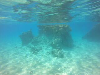 Récif de corail du lagon bleu à Rangiroa, Polynésie française