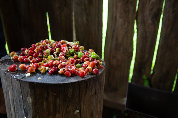 Grains de café naturels