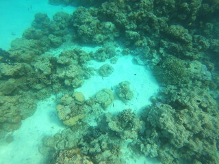 Lagon à Rangiroa, Polynésie française