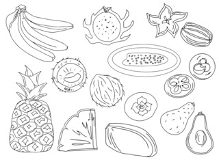 Vector large set of doodles of tropical fruits and berries for the harvest menu bananas, dragon fruit, mangosteen, pineapple, coconut, mango, persimmon, papaya, avocado