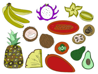 Vector large set of color doodles of tropical fruits and berries for the harvest menu bananas, dragon fruit, mangosteen, pineapple, coconut, mango, persimmon, papaya, avocado