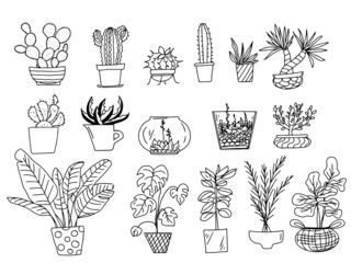 Vector big set of doodles of indoor plants in pots: cacti, succulents, monstera, laurel, palm trees, banana tree