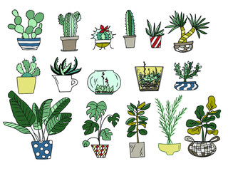 Vector big set of color doodles of indoor house plants in pots: cacti, succulents, monstera, laurel, palm trees, banana tree