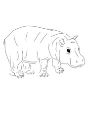 Vector Little hippo cub closeup illustration for the nursery
