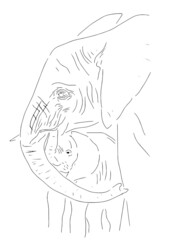 Vector elephant with elephant in the lines of silhouetted graphics elephant calf under the trunk of mom and hugs her