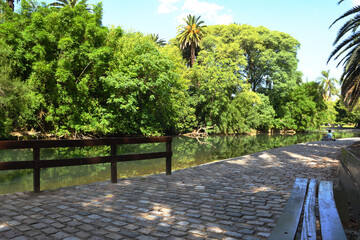 árbol, huerta, naturaleza, carretera, aparcar, camino, paisaje, verano, árbol, verde, cielo, césped, bosque, camino, azul, viajando, madera, andar, campestre, primavera, bridge, callejuela, camino, ca
