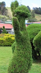 silly topiary garden at the park