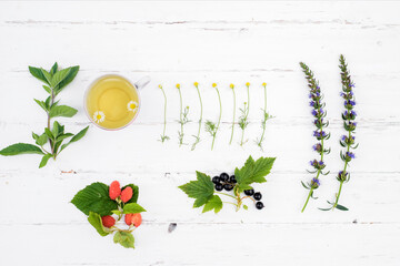 hot tea on a wooden white background, the ingredients for the preparation of natural herbal tea. Melissa and mint, chamomile and currants, raspberries. morning in the village.top wie, knolling - obrazy, fototapety, plakaty