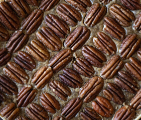dessert, pâtisserie à la noisettes 