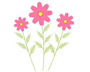 Obraz na płótnie Canvas カラフルなコスモスの花のベクターイラスト　