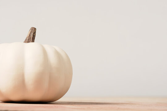 Calm minimalist white pumpkin autumn decoration isolated on background with copy space for fall season.