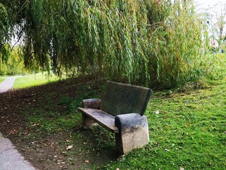 Ławka w parku koło wierzby płaczącej © Eva Biedrzycka