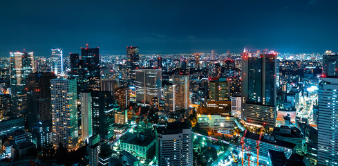 Fototapeta na wymiar Tokyo, Japan cityscape view from high above