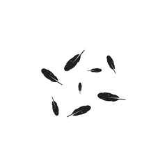 Fototapeta premium Feather background