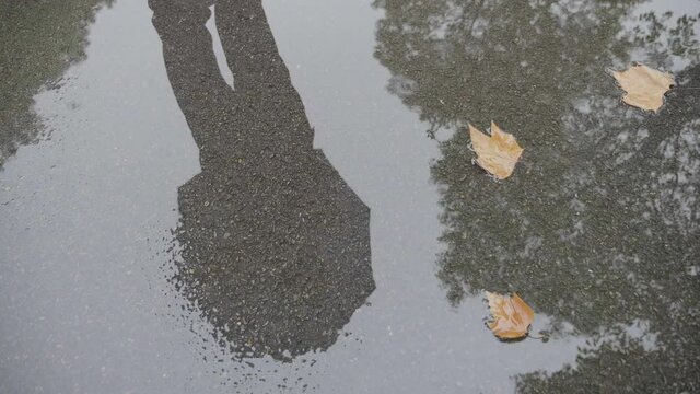 Closeup of reflections of tree and standing people with umbrella by puddle on asphalt road on rainy day, a few yellow leaves in the stagnant water