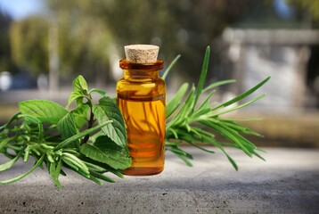 The fresh herbal and essential oil in a glass bottle