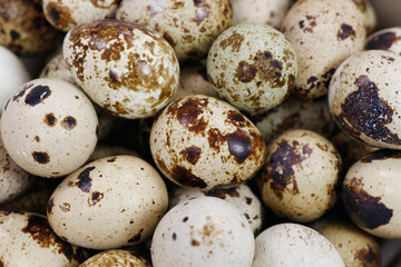 Fototapeta premium fresh quail eggs isolated on white background