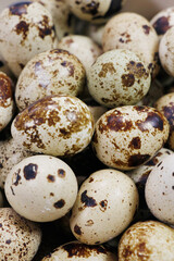 Fototapeta premium fresh quail eggs isolated on white background