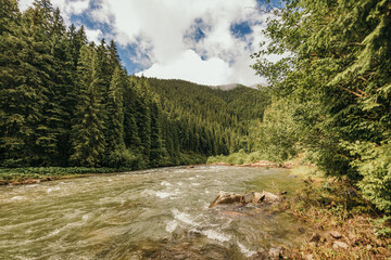 Fototapeta na wymiar A river running through a forest