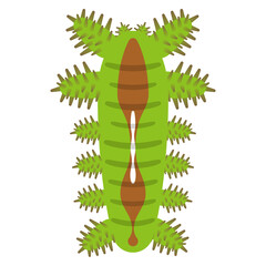 イラガの幼虫のイラストレーション