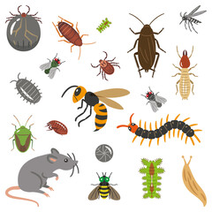 害虫のイラストレーションのセット