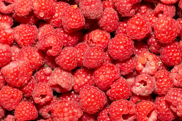 Background of ripe red raspberries. Vitamin Dessert.