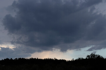 Rain in the forest. Storm clouds against a blue sky. The sun is hidden. Panorama. Tragic gloomy sky. Fantastic skies on the planet earth. Twilight, nightfall.