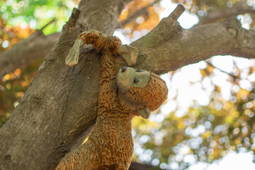 Stuffed monkey holds on to tree. Concept of 'hold on' or 'hang on.' 
