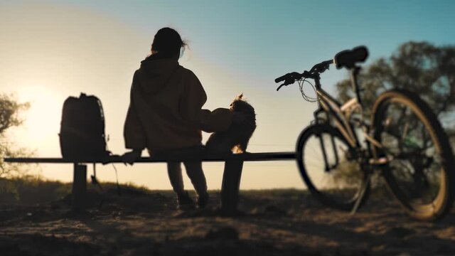 little teenage girl sitting on a bench silhouette with a dog and a backpack near a bicycle. concept vacation relaxation freedom happy childhood lifestyle