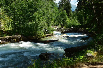 Small river in summer season in a morning, Caucasus mountain range