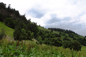 Fototapeta na wymiar Summer mountains green grass and blue sky landscape. Caucasus mountains