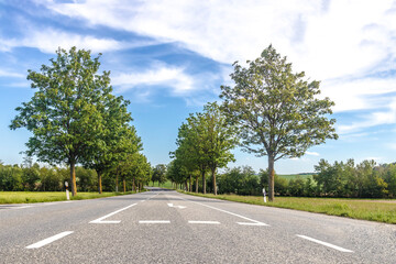 Fototapeta na wymiar Country road with Trees