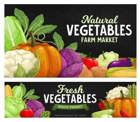 Ripe farm vegetables chalkboard, food harvest greenery products, vector veggies. Organic farm vegetables cauliflower cabbage, asparagus, corn, pumpkin and pepper, mushroom and tomato