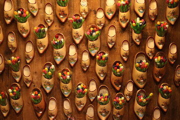 Tulips in wooden shoes, Netherlands