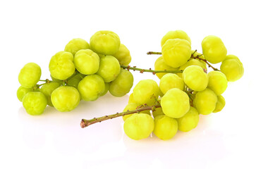 Star goosebeery isolated on white background