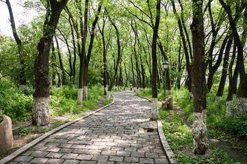 China, Heihe, July 2019: Walking path in the Park on the embankment in Heihe city in summer